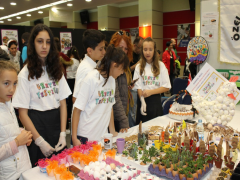 Evrensel Kolej